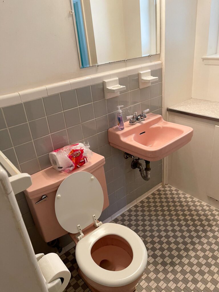 IMG 1699